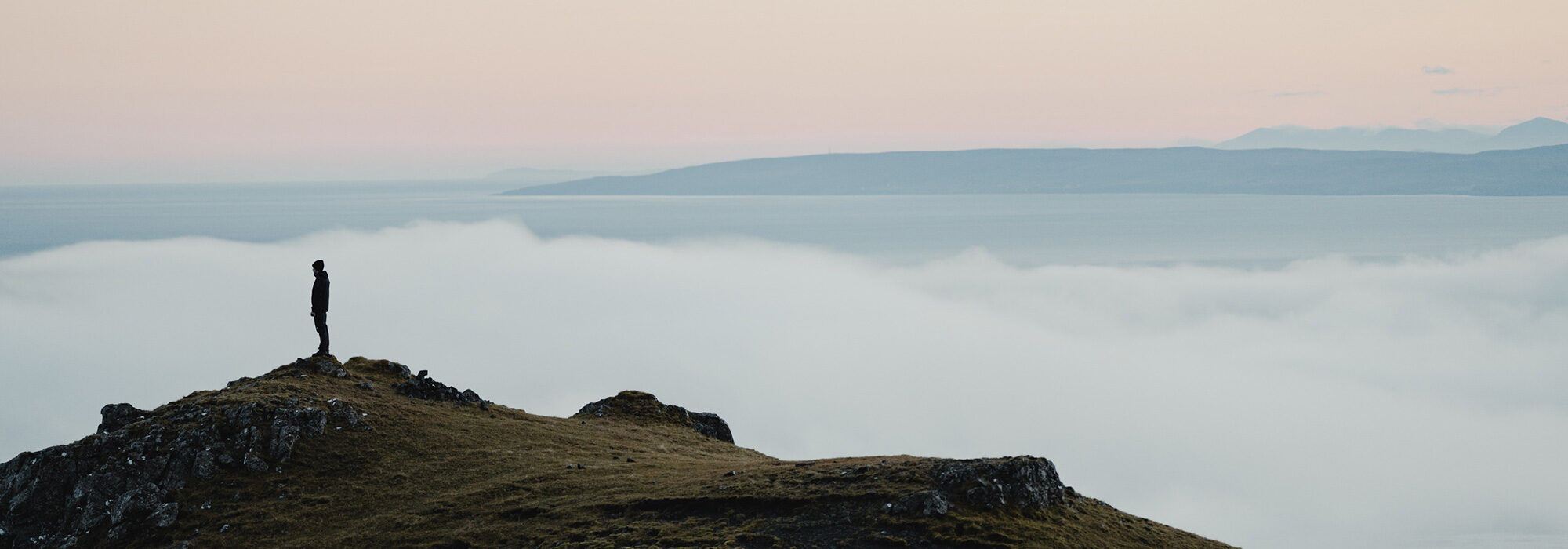 De roep van de wildernis