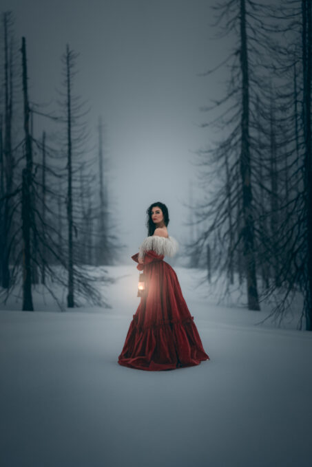 knee length dresses for ladies Girl in red dress with snow globe art print fashion illustration  Lalana  Arts